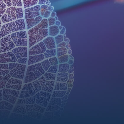 Le groupement - Pharmupp