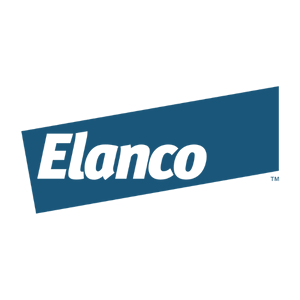 Le groupement - Pharmupp